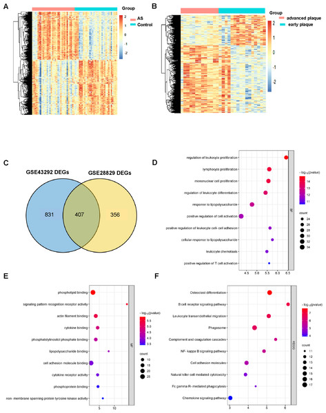 AS-DEGs screening and functional enrichment.