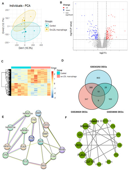 Identification of DEGs associated with macrophage foam cells and Protein-protein interaction (PPI) network.