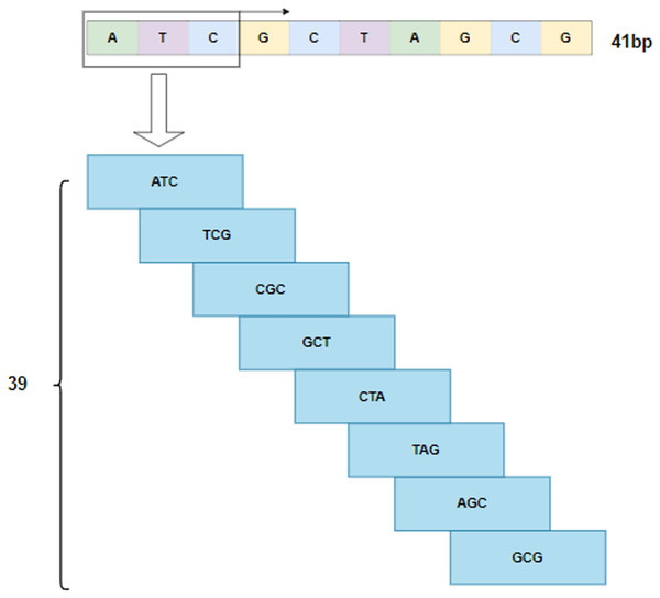 3-mer sub-sequences.