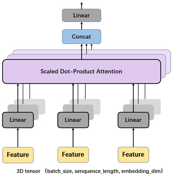 Multi-head attention.