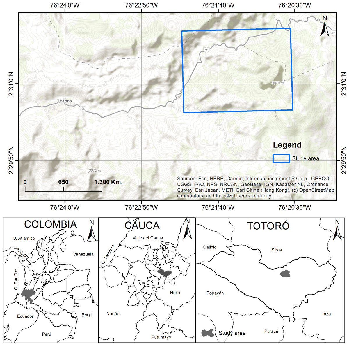 Unraveling plant-pollinator interactions from a south-west Andean forest in  Colombia [PeerJ]