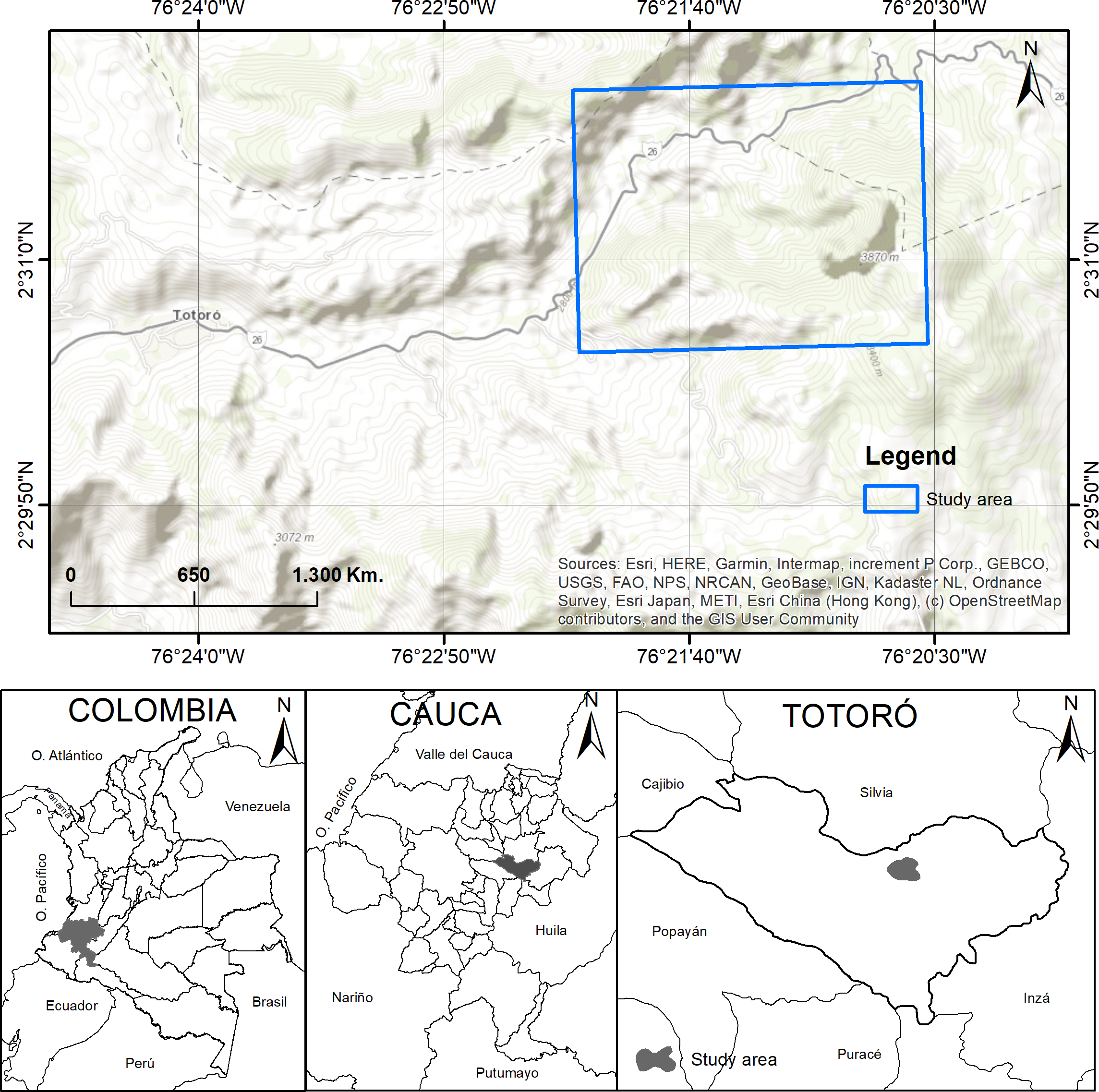 Unraveling plant-pollinator interactions from a south-west Andean forest in  Colombia [PeerJ]