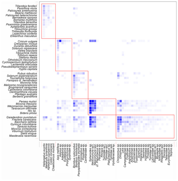 Interaction pattern with identified modules for QuaBiMo (steps = 1E8; Q = 0.25) (Dormann & Strauss, 2014).