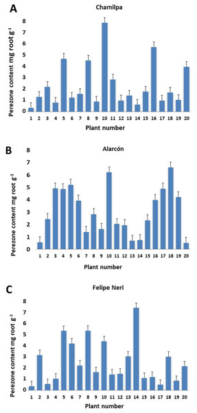 Perezone content in rhizomes of each Acourtia cordata plant in the three localities: Chamilpa (A), Alarcón (B) and Felipe Neri (C).