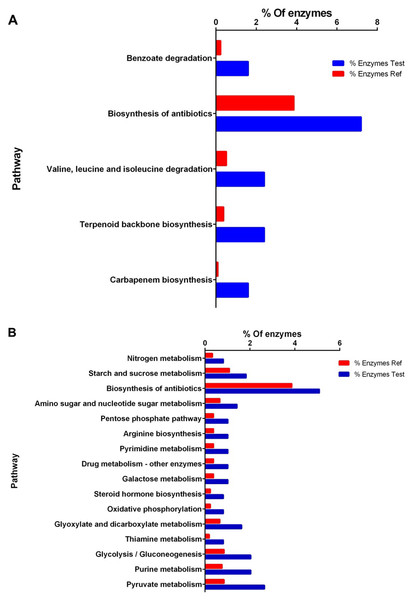 Enrichment analysis of KEGG pathways of differentially expressed proteins between high and low perezone producers.