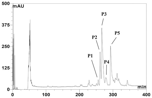 Reversed-phase chromatogram of anti-MRSA substances from SPR19.