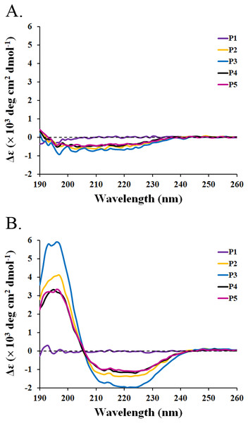 CD spectra of active peptides (P1–P5) from SPR19.