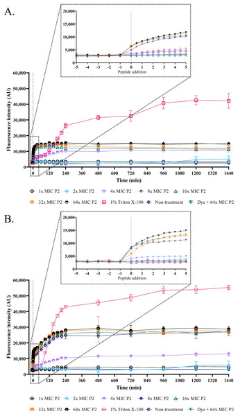 Membrane permeability was altered by anti-MRSA peptide (P2).