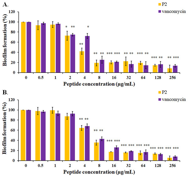 Inhibition of biofilm formation by P2 and vancomycin against (A) S.aureus TISTR 517 and (B) MRSA isolate 2468.