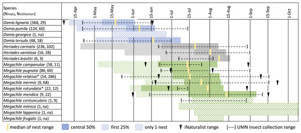 Phenology of tunnel-nesting bee nest completion.