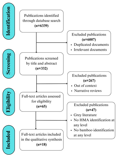 Workflow displaying the search, selection, and eligibility criteria applied to the literature, adapted from the PRISMA 2020 guidelines for reporting new systematic reviews (Page et al., 2021).