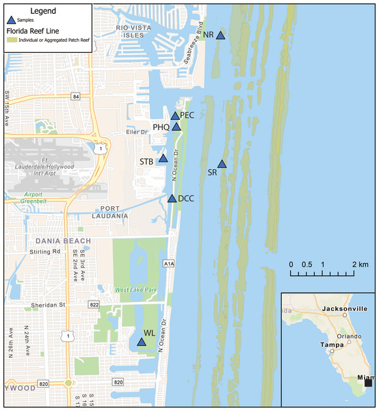 Map of Port Everglades, Florida (USA) showing the Intracoastal Waterway, Port, the core, and grab sampling locations.