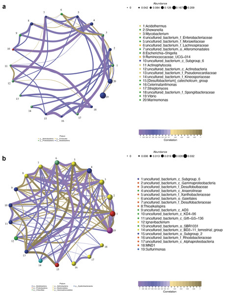 Network analysis of top 20 bacterial genera in the endosphere (A) and rhizosphere (B) compartments.