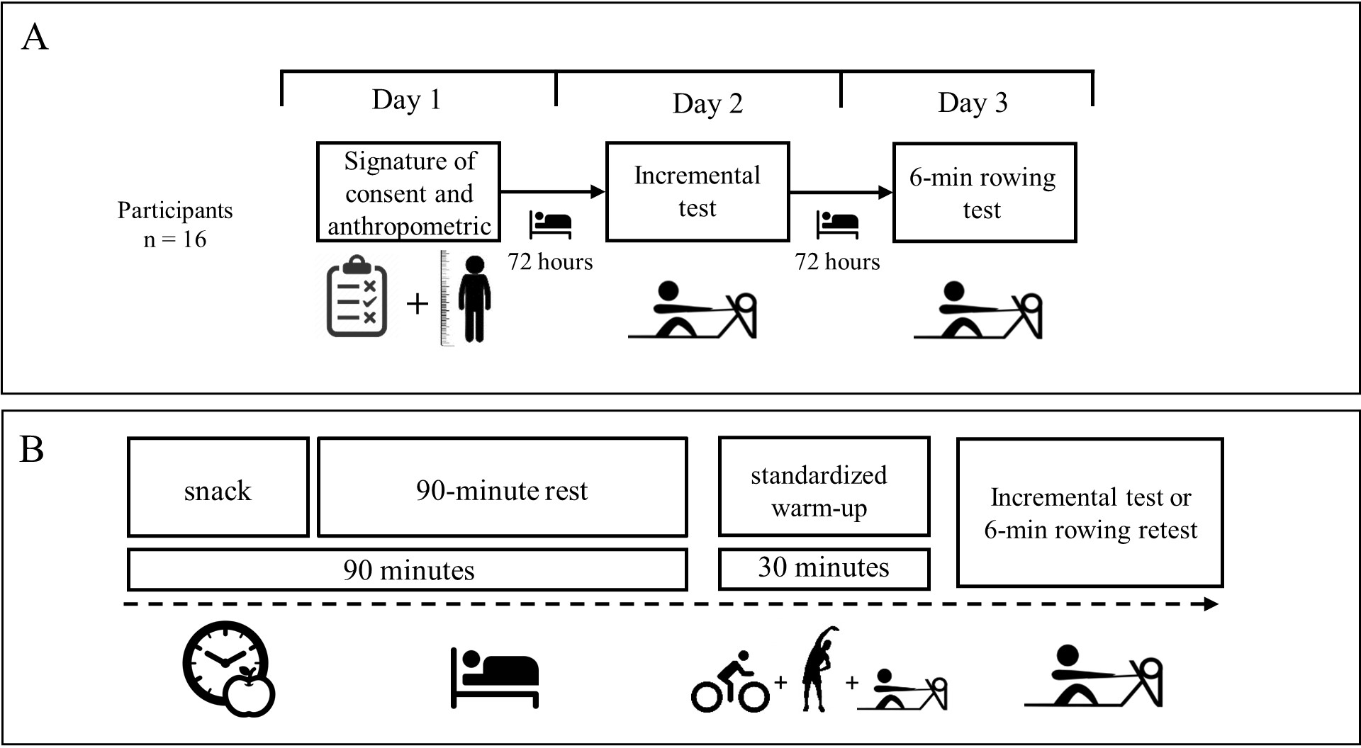 Six-minute rowing test a practical tool for training prescription, from ventilatory thresholds and power outputs, in amateur male rowers PeerJ picture picture