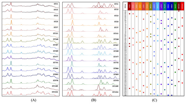Average and deconvoluted SERS spectra together with characteristic spectral speaks for each K. pneumoniae strain with a unique sequence typing.