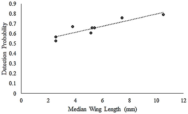 Correlation of butterfly detectability and wing length.