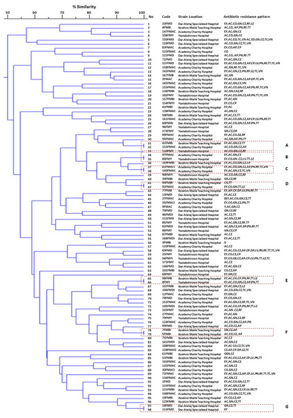 A represented dendrogram of ERIC-PCR using CLIQS fingerprint data software and UPGMA with arithmetic averages at 80% similarity on 108 strains of Enterococcus faecium isolated from Khartoum locality hospitals.