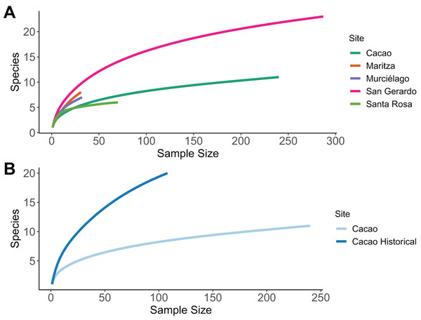 Sample-based rarefaction curves.