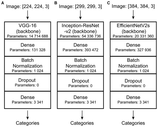DCNN architectures used in this study.