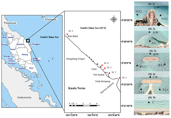 Map of study sites along Kuala Nerus coastal area.