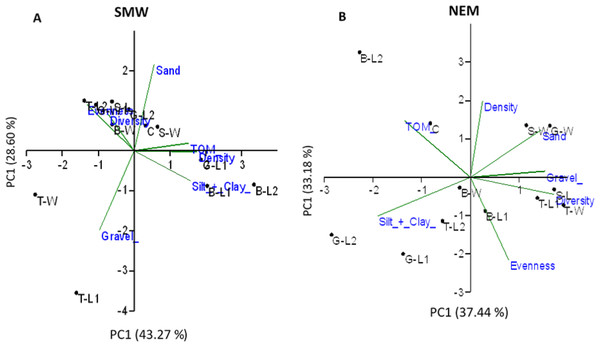 Principal component analysis (PCA) ordination showing sampled stations clustering based on a Euclidean distances matrix considering five environment parameters and three biotic assemblages in (A) SWM and (B) NEM.