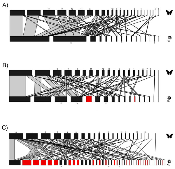 Bipartite plant-butterfly interaction networks.