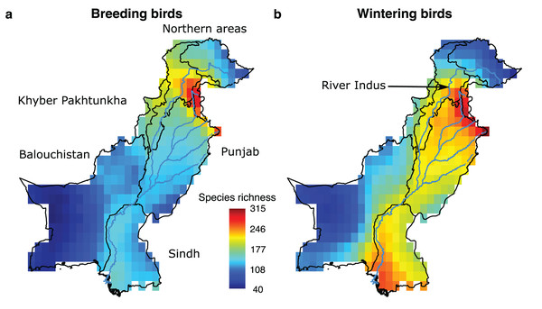 Species richness patterns of breeding and wintering birds in Pakistan.