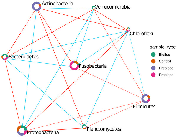 SECOM correlation network analysis applied to tilapia gut microbiome at the phylum level.