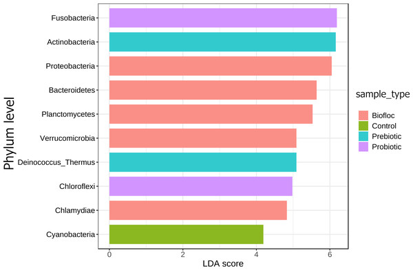 LEfSe analysis indicates diferentially abundant phyla.