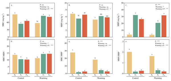 Warming, P addition, and their interaction on soil microbial biomass and stoichiometries.