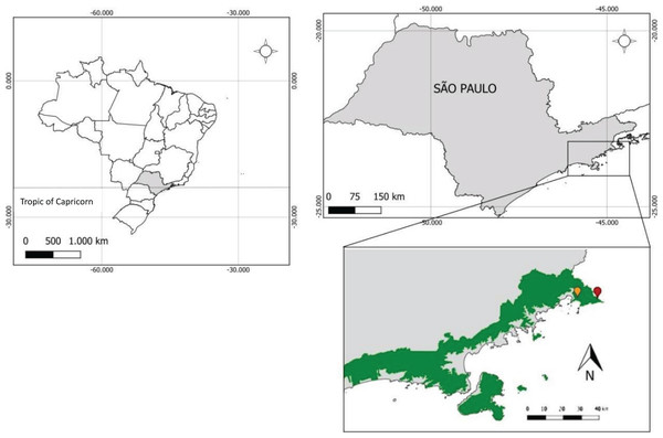 Location of Quilombo da Fazenda (in yellow), Quilombo do Cambury (in red) within the Serra do Mar State Park (in green), in Ubatuba, the state of São Paulo, Brazil.