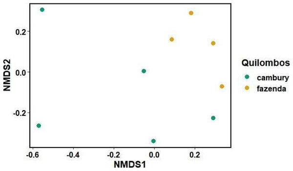 Non-metric multidimensional scaling graph (nMDS), comparing the dissimilarity of species known for civil construction by local experts from Quilombo Cambury and Quilombo da Fazenda, in the Serra do Mar State Park, Brazil.