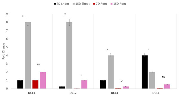 Quantitative PCR of four AeDCLs for okra plant leaves and roots sampled over 7 and 15 days (D) of dehydration.