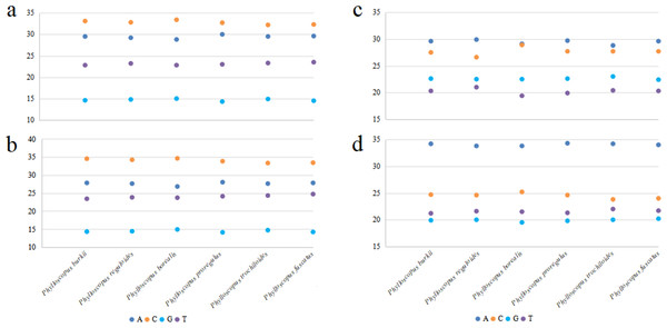 The base composition of mitogenomes in six Phylloscopus species.