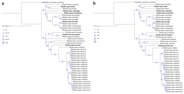 Phylogenetic trees reconstructed using PCG combining with RNA datasets.