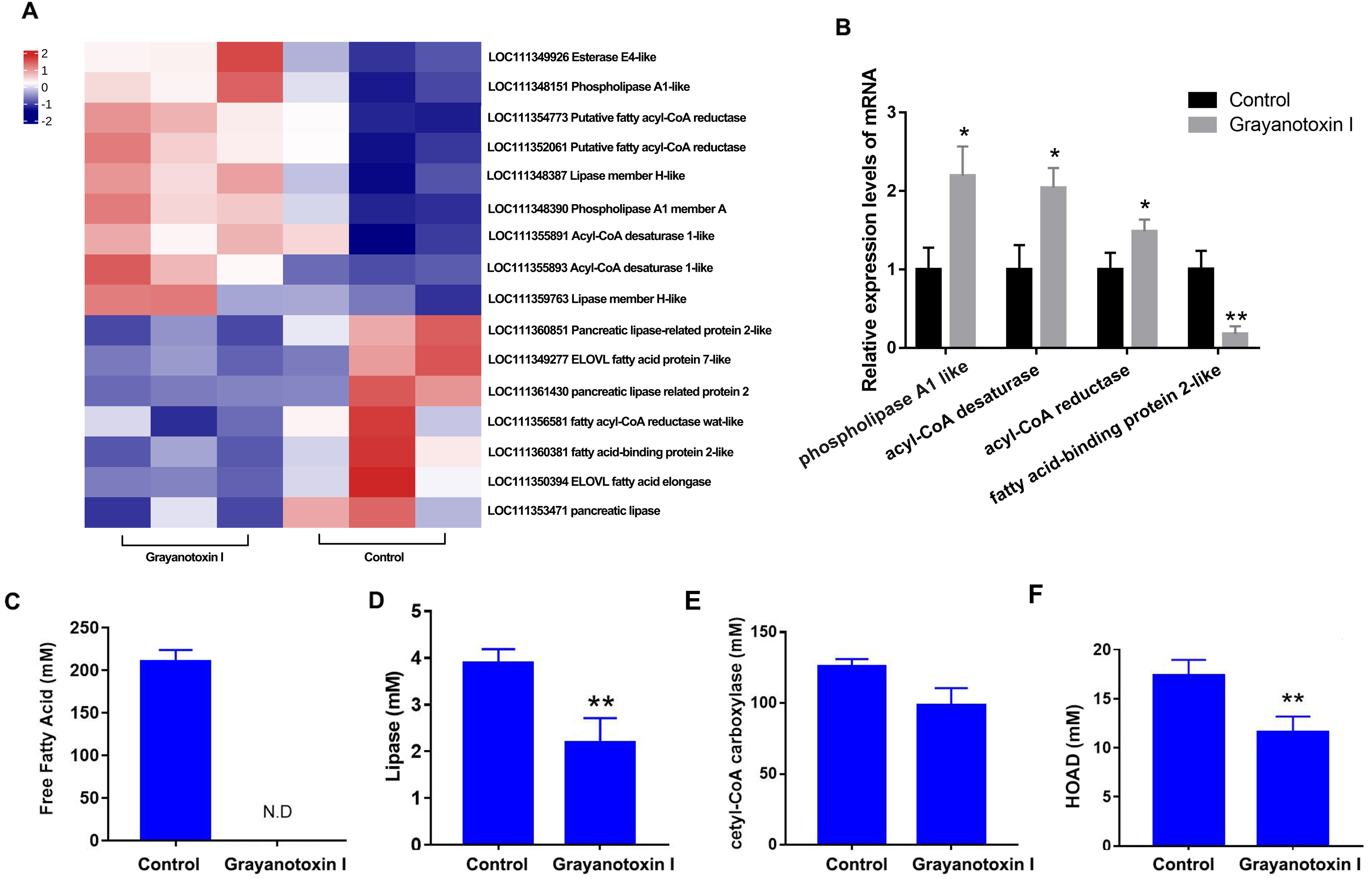 Frontiers  Fatty acid uptake in Trypanosoma brucei: Host resources and  possible mechanisms