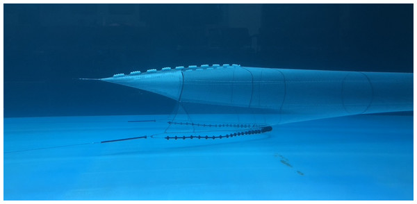 A 1:10 scale model was evaluated in the flume tank located at the Fisheries and Marine Institute of Memorial University of Newfoundland, Canada.