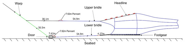 Side profile schematic of the semi-pelagic trawl system.