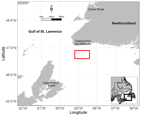 Location of field experiments (red rectangle) in the Gulf of St. Lawrence, Canada.