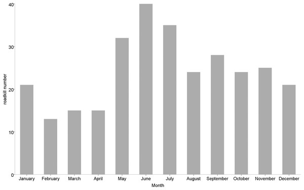 Monthly number of small vertebrate roadkill in Nanjing, November 2020—October 2021.