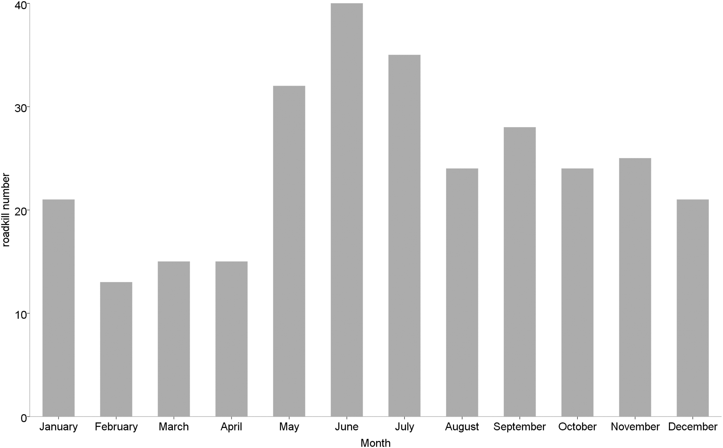 Temporal and spatial patterns of small vertebrate roadkill in a