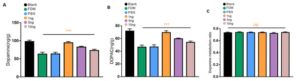 Changes in DA (A), DOPAC (B), and dopamine metabolism ratio (C) in the retina after 14 days of intravitreal injection of VEGF165 in FDM guinea pigs.