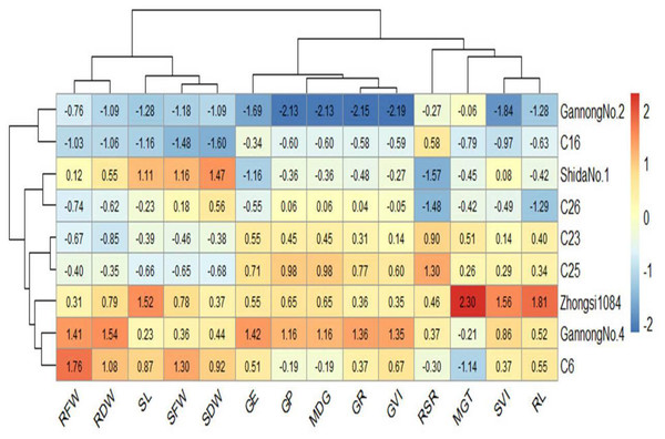 Heatmap of the relationship between genotypes and the studied traits under control treatment.