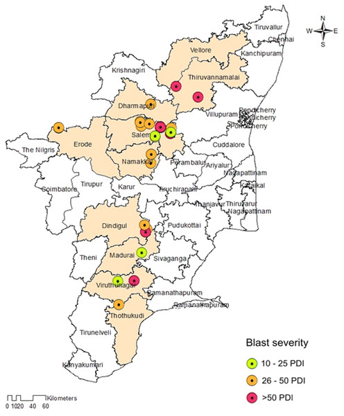 Map showing the collection sites of Magnaporthe grisea isolates and foxtail millet blast severity in Tamil Nadu.