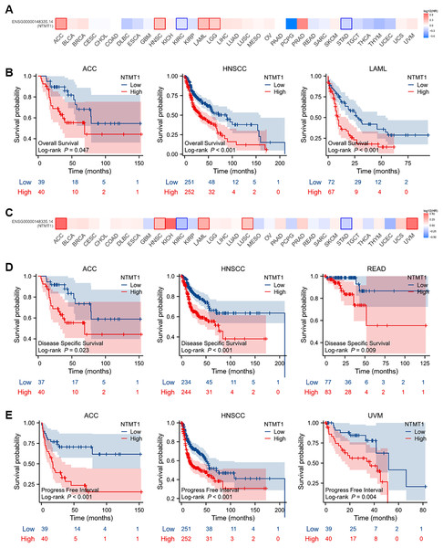 Prognostic values of NTMT1 expression in pan-cancer.