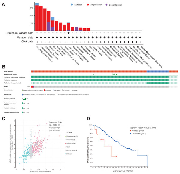 NTMT1 gene mutation in various cancers.