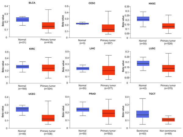 Promoter methylation levels of NTMT1 in cancers.