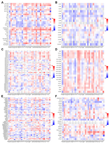 Correlation of NTMT1 and immunoregulation‑related genes in pan‑cancer.