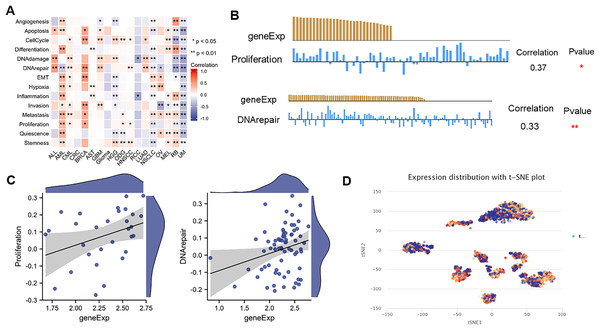 The expression levels of NTMT1 at single-cell levels.