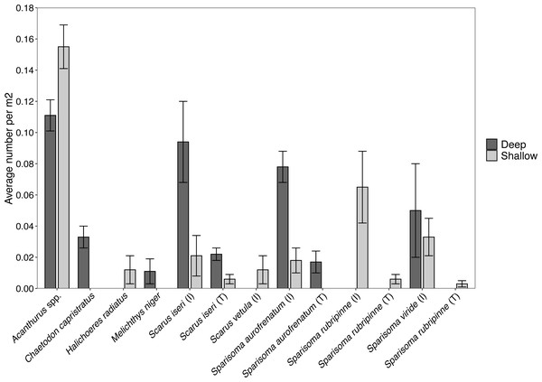 Abundance of each herbivorous fish species (±SE) per m2 found at the shallow and deep site.